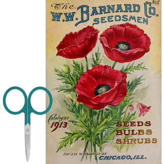 Vintage Seed Catalog Barnard Bulbs, Shrubs 1913 Tissue Paper