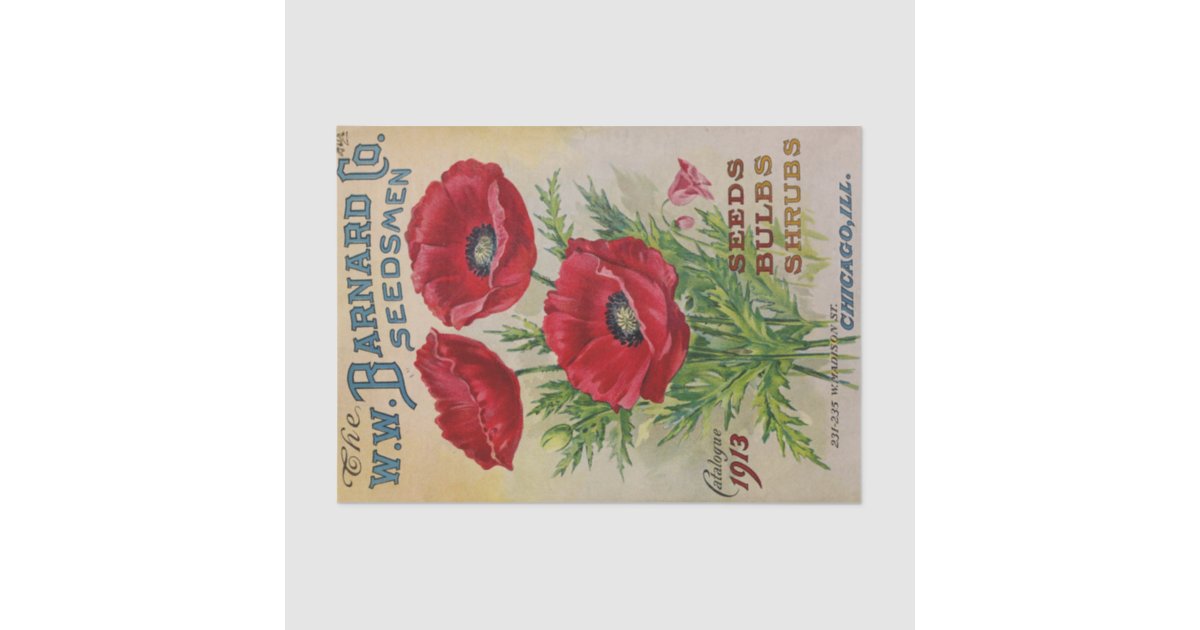 Vintage Seed Catalog Barnard Bulbs, Shrubs 1913 Tissue Paper Zazzle