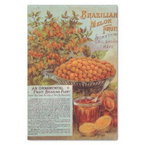 Vintage Seed Catalog Brazilian Melon Fruit Tissue Paper