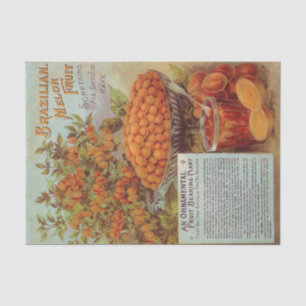 Vintage Seed Catalog Brazilian Melon Fruit Tissue Paper