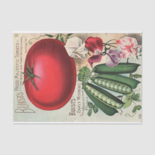 Vintage Seed Catalog Buist's Company Tissue Paper