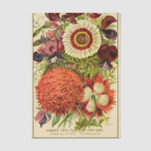Vintage Seed Catalog Burpee New Flowers 1887 Tissue Paper