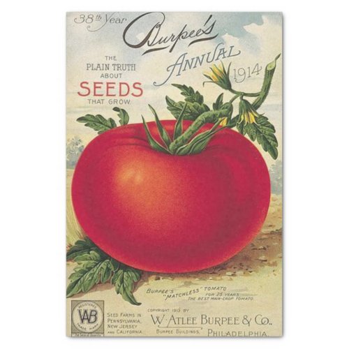Vintage Seed Catalog Burpee Tomato 1914 Tissue Paper