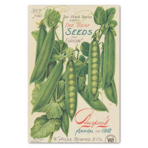 Vintage Seed Catalog Burpees 1912 Peas Tissue Paper