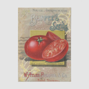 Vintage Seed Catalog Burpee's Company 1894 Tissue Paper