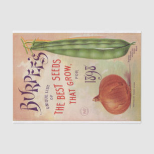 Vintage Seed Catalog Burpee's Company 1898 Tissue Paper