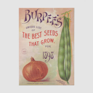 Vintage Seed Catalog Burpee's Company 1898 Tissue Paper
