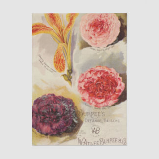 Vintage Seed Catalog, Burpee's Defiance Balsams Tissue Paper