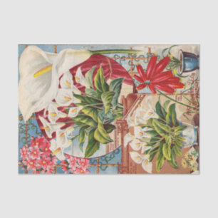 Vintage Seed Catalog Callas and Hyacinths Tissue Paper