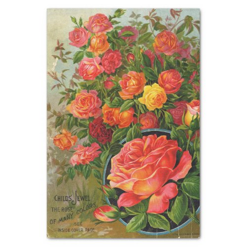 Vintage Seed Catalog Childs Jewel The Rose Tissue Paper