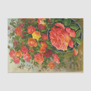 Vintage Seed Catalog Childs Jewel The Rose Tissue Paper