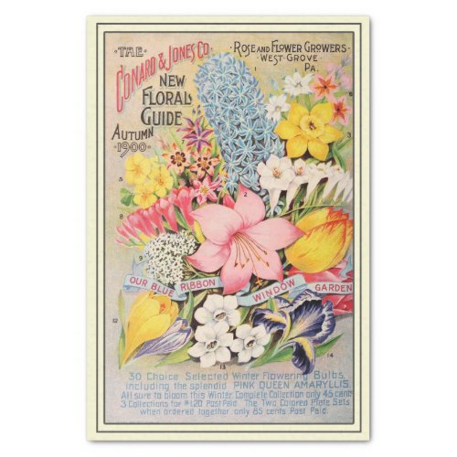 Vintage Seed Catalog Conard 1900 Roses and Flowers Tissue Paper