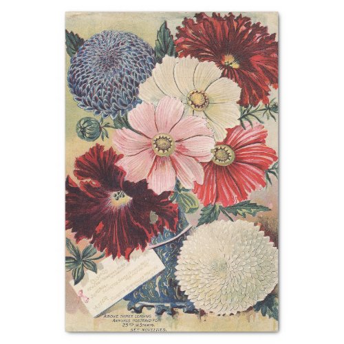 Vintage Seed Catalog Cosmos Petunias Asters Tissue Paper