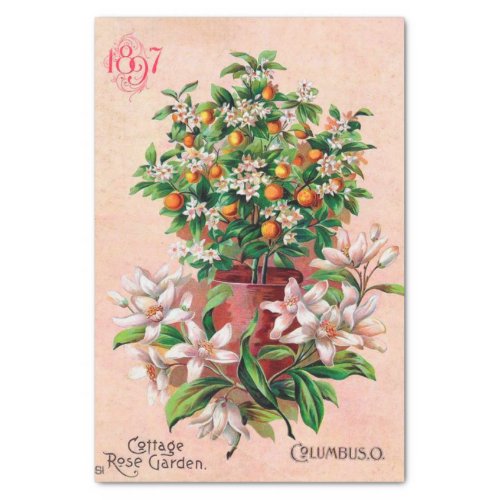 Vintage Seed Catalog Cottage Rose Garden 1897 Tissue Paper