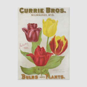 Vintage Seed Catalog Currie Bros, Autumn 1901 Tissue Paper