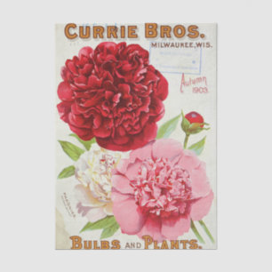 Vintage Seed Catalog Currie Bros, Autumn 1903 Tissue Paper