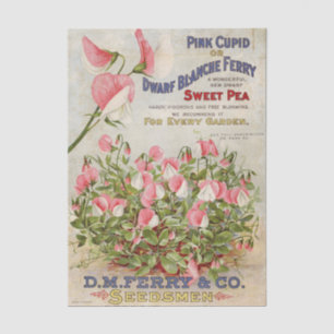 Vintage Seed Catalog D.M. Ferry and Company Tissue Paper