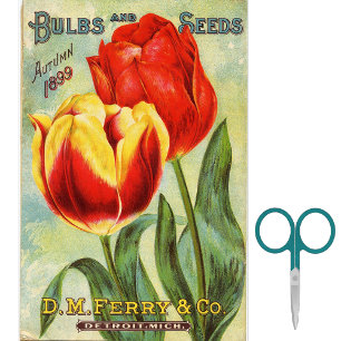 Vintage Seed Catalog D.M. Ferry Autumn 1899 Tissue Paper