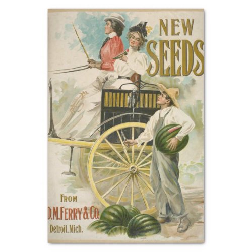 Vintage Seed Catalog DM Ferry New Seeds Tissue Paper