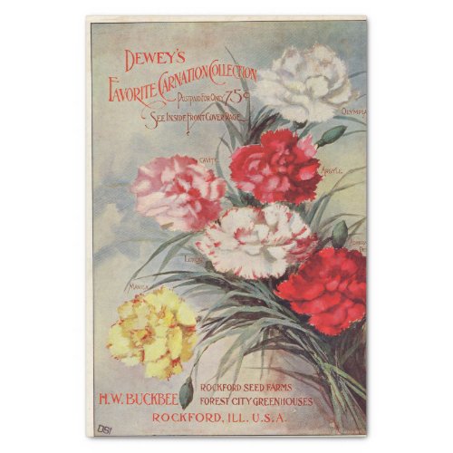 Vintage Seed Catalog Deweys Carnation Collection Tissue Paper