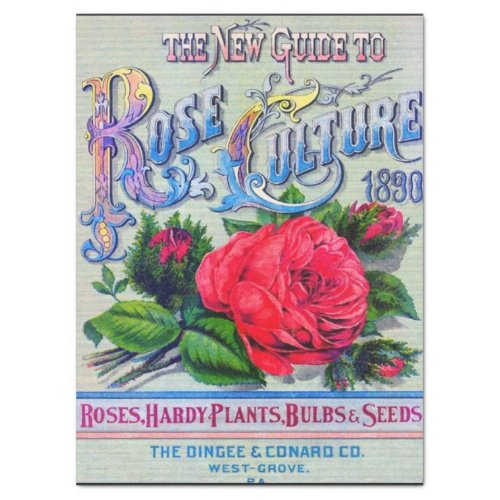 Vintage Seed Catalog Dingee Conard Rose Culture  Tissue Paper