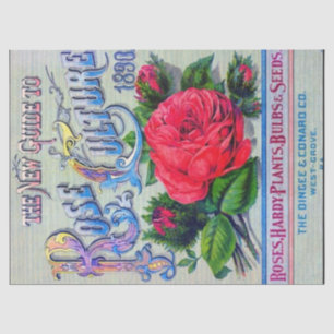 Vintage Seed Catalog Dingee Conard Rose Culture Tissue Paper