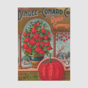 Vintage Seed Catalog Dingee Rose Growers, 1897 Tissue Paper