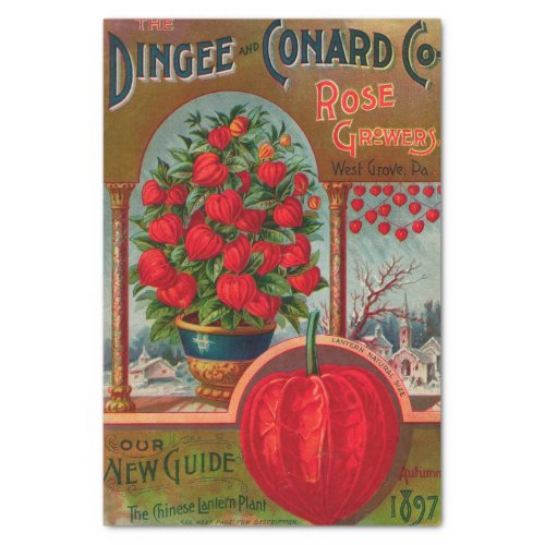 Vintage Seed Catalog Dingee Rose Growers 1897 Tissue Paper