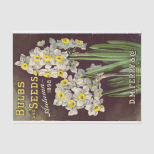 Vintage Seed Catalog DM Ferry Bulbs and Seeds 1898 Tissue Paper