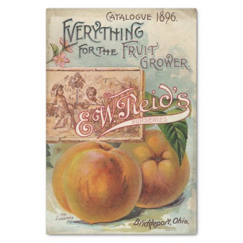 Vintage Seed Catalog EW Reid Fruit Grower 1896 Tissue Paper