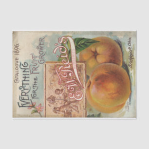 Vintage Seed Catalog E.W. Reid, Fruit Grower, 1896 Tissue Paper