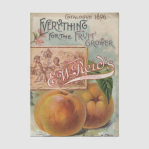 Vintage Seed Catalog E.W. Reid, Fruit Grower, 1896 Tissue Paper