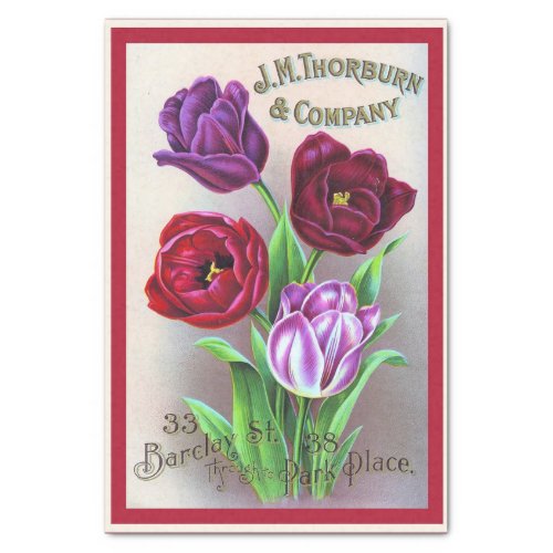 Vintage Seed Catalog Flowers Tulips Thorburn Tissue Paper