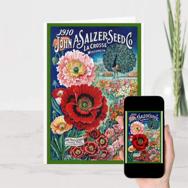 Vintage Seed Catalog from Wisconsin Card Zazzle