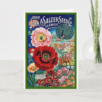 Vintage Seed Catalog From Wisconsin Card by AsTimeGoesBy at Zazzle