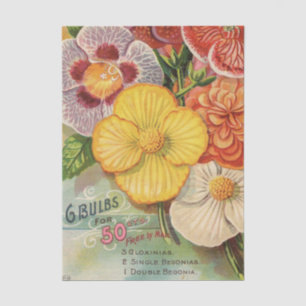 Vintage Seed Catalog Gloxinias and Begonias Tissue Paper