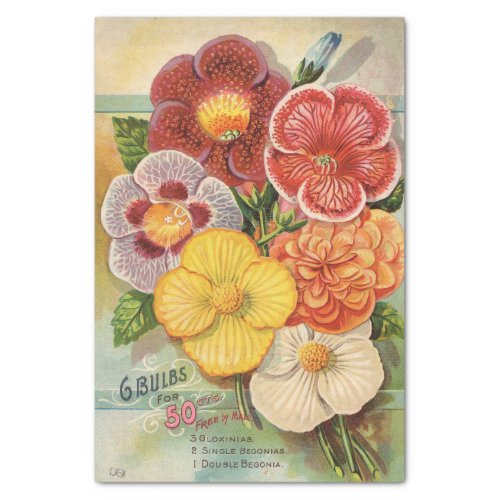 Vintage Seed Catalog Gloxinias and Begonias Tissue Paper