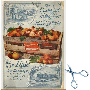 Vintage Seed Catalog Hale's Peaches Tissue Paper