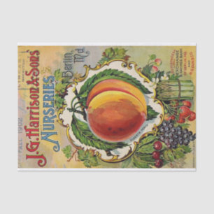 Vintage Seed Catalog Harrison & Sons Nurseries Tissue Paper