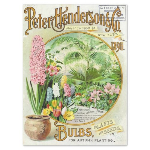 Vintage Seed Catalog Henderson 1896 Bulbs Plants Tissue Paper