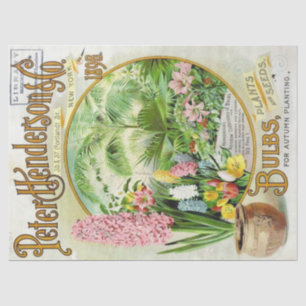 Vintage Seed Catalog Henderson 1896 Bulbs, Plants Tissue Paper