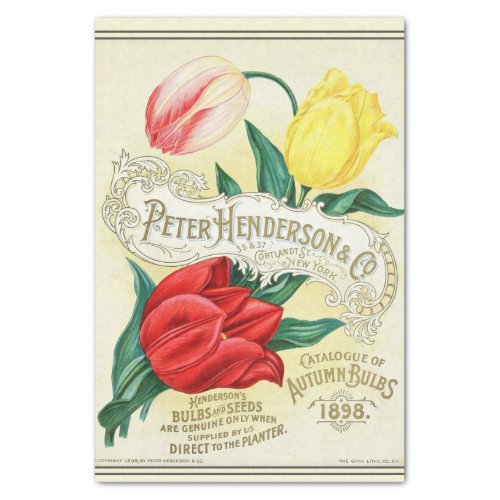 Vintage Seed Catalog Henderson Autumn Bulbs 1898 Tissue Paper