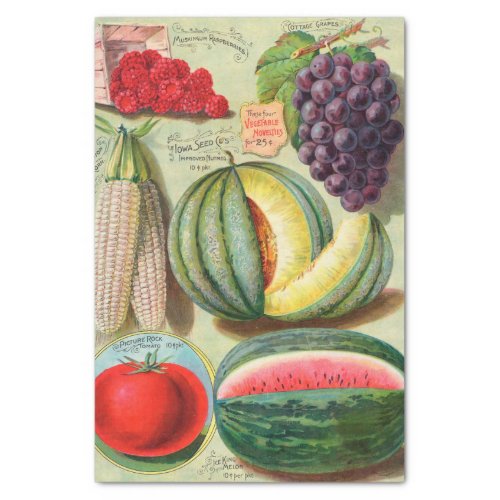 Vintage Seed Catalog Iowa Fruits and Vegetables Tissue Paper