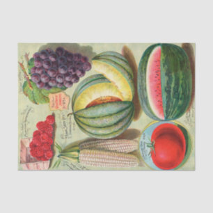 Vintage Seed Catalog Iowa Fruits and Vegetables Tissue Paper