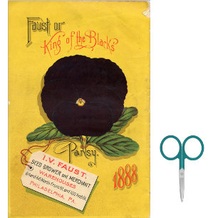 Vintage Seed Catalog J.V. Faust 1888 Pansies Tissue Paper