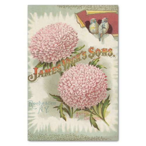 Vintage Seed Catalog James Vicks and Sons Tissue Paper