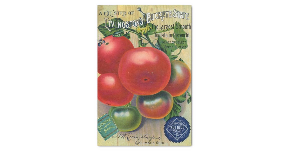 Vintage Seed Catalog, Livingston's Buckeye State Tissue Paper Zazzle