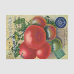 Vintage Seed Catalog, Livingston's Buckeye State Tissue Paper