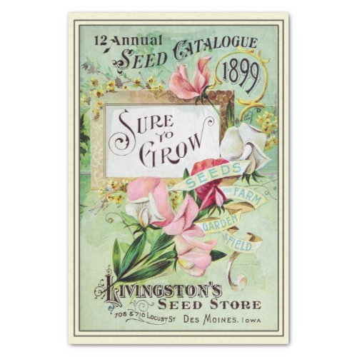Vintage Seed Catalog Livingstons Seed Store 1899 Tissue Paper