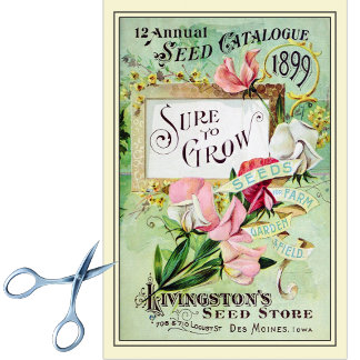 Vintage Seed Catalog Livingston's Seed Store 1899 Tissue Paper